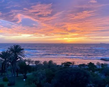 Citta' 3* Livorno